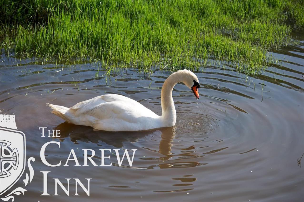Carew Inn Eksteriør billede